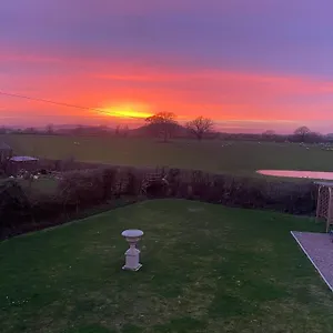 Hillvine , Hartpury United Kingdom